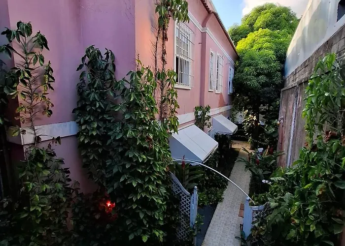 Linda Casa, Super Espacosa E Charmosa No Coracao De Botafogo